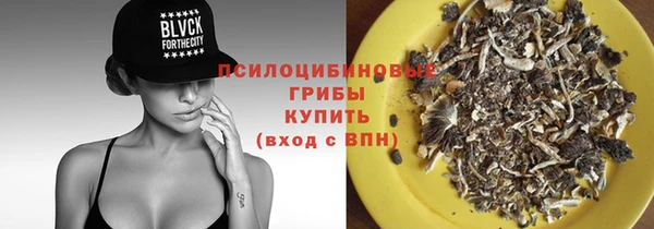 хмурый Алексеевка