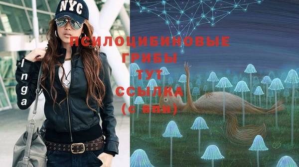 хмурый Алексеевка