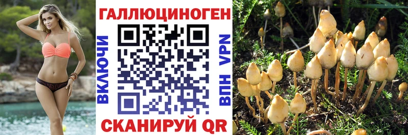 кракен ссылки  Любань  Галлюциногенные грибы прущие грибы  где купить наркотик 